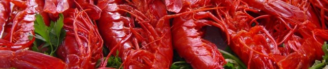 Gambero Rosso di Gallipoli