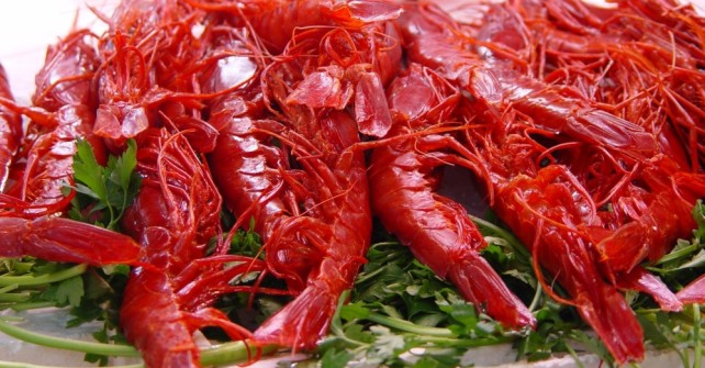 Gambero Rosso di Gallipoli